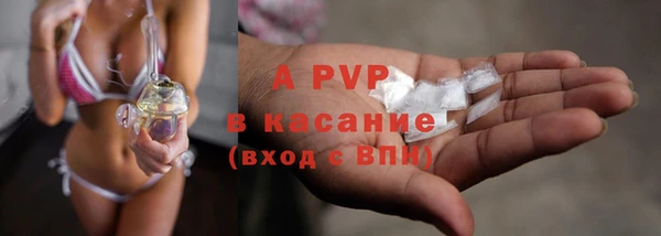молекула духа Киреевск
