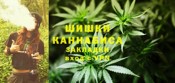 spice Касимов