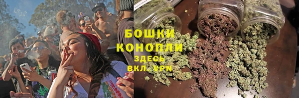 spice Карпинск