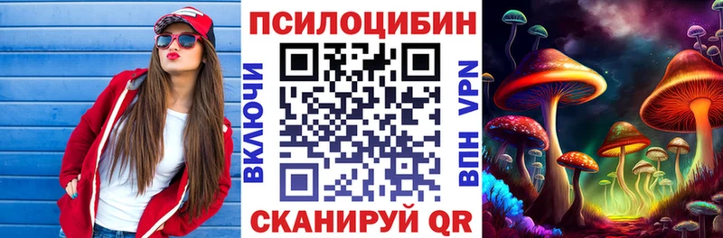 Галлюциногенные грибы мицелий  Купить где  Болотное 